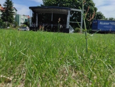 foto_003