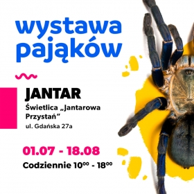 wystawa_pajakow